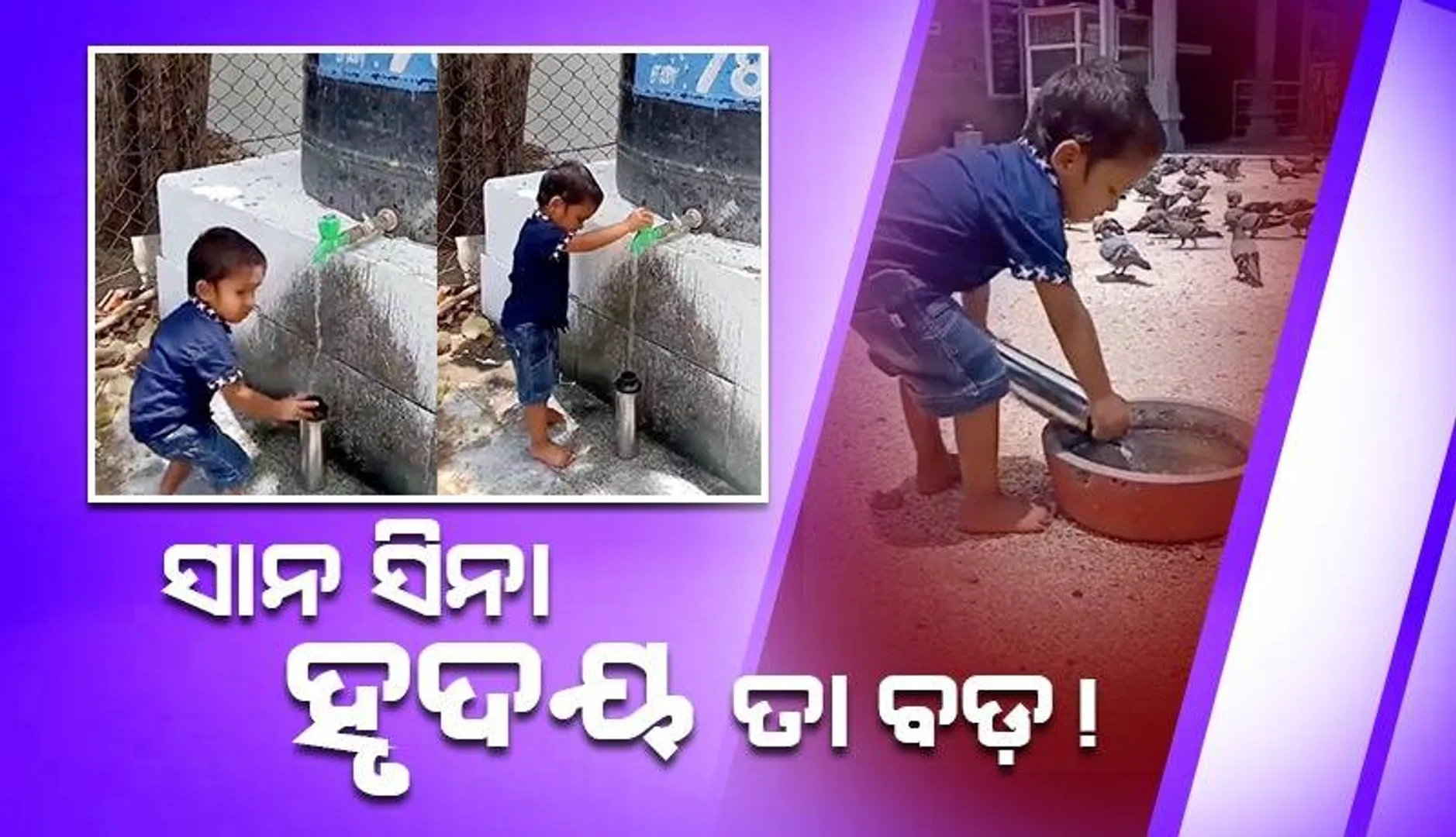 ପ୍ରଚଣ୍ଡ ଖରାରେ ଖାଲି ପାଦରେ ଚାଲି ନିଜ ବୋତଲରେ ପାଣି ନେଇ ପକ୍ଷୀଙ୍କ ପାଇଁ ରଖିଲା କୁନି ପୁଅ