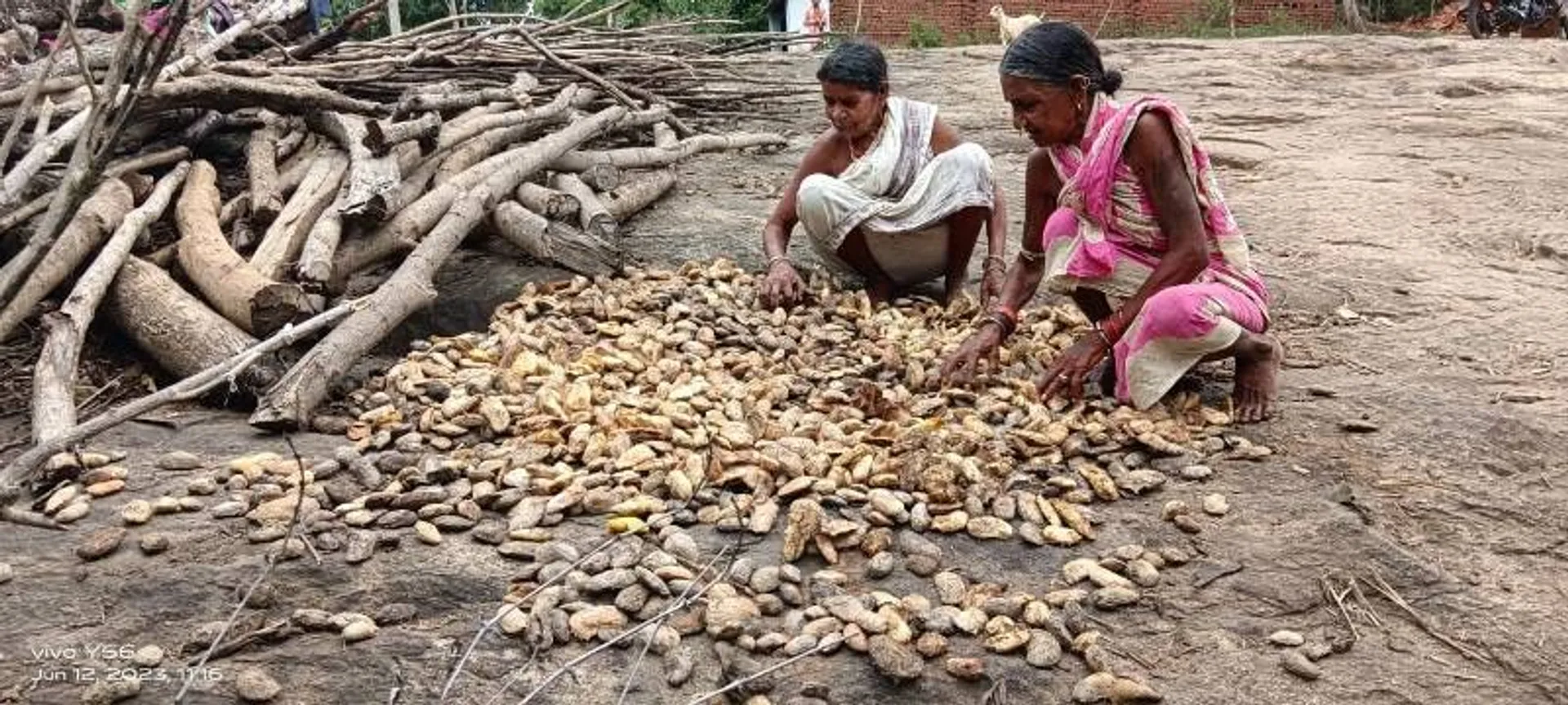 କାଶୀପୁରବାସୀଙ୍କ ପ୍ରିୟ ଆମ୍ବ ଟାକୁଆ, ତିଆରି ହେଉଥିବା ଖାଦ୍ୟକୁ ନେଇ ଲୋଡ଼ା ରହିଛି ପ୍ରଶାସନର ସଚେତନତା