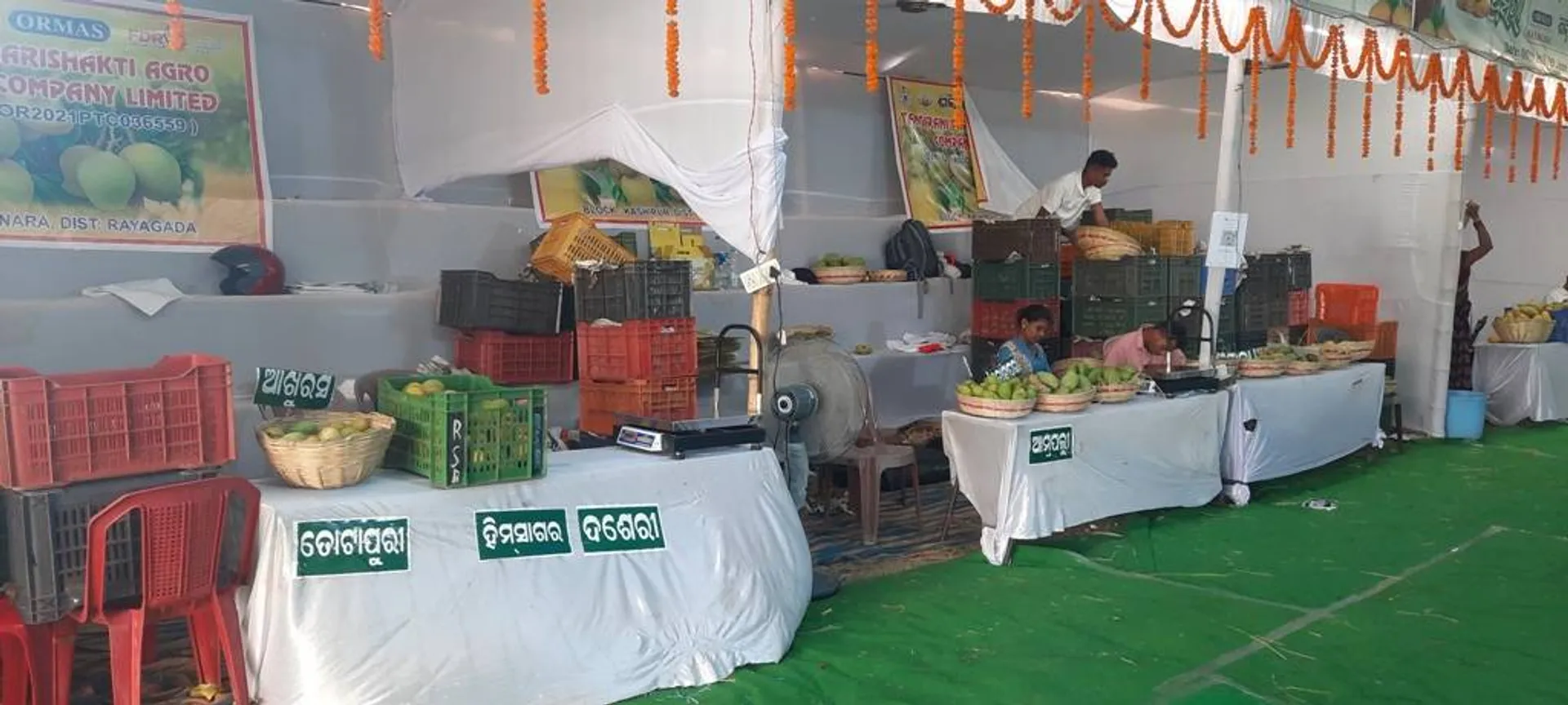 ଫସର ଫାଟିଲା ଆମ୍ବ ମେଳା: ଗ୍ରାହକ ନଥିବା ଯୋଗୁଁ ଆଶାନୁରୂପ ବିକ୍ରି ନୋହିଲା