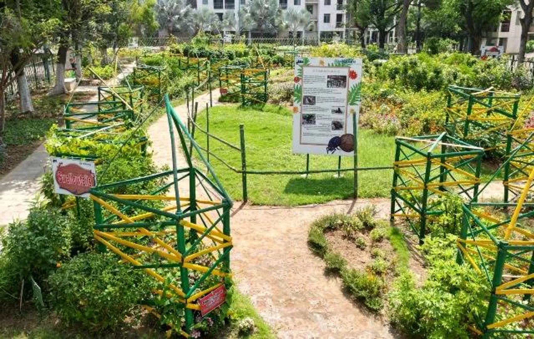ବେଦାନ୍ତ ଆଲୁମିନିୟମର ନିଆରା ପ୍ରୟାସ: ଝାରସୁଗୁଡ଼ାରେ ପ୍ରତିଷ୍ଠା କଲା ବଟରଫ୍ଲାଏ ପାର୍କ