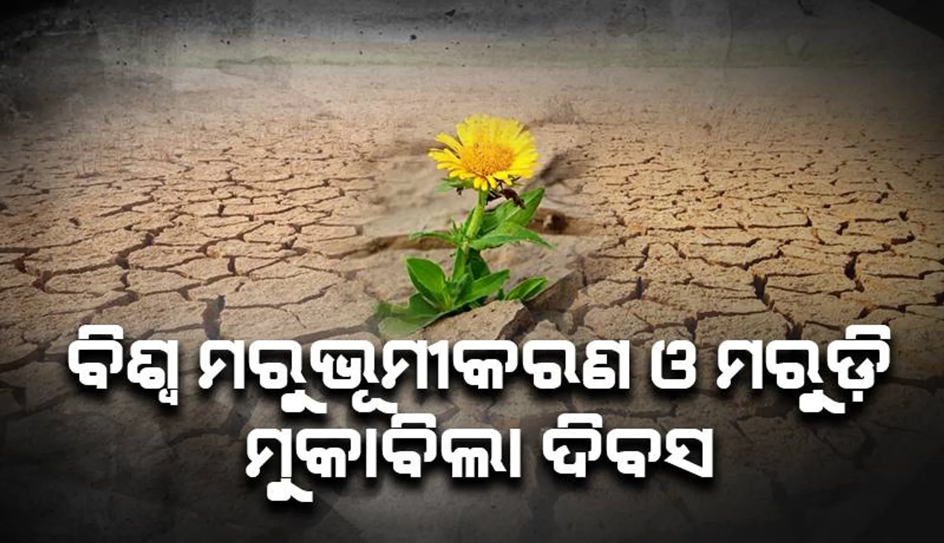 ବିଶ୍ବ ମରୁଭୂମୀକରଣ ଓ ମରୁଡ଼ି ମୁକାବିଲା ଦିବସ