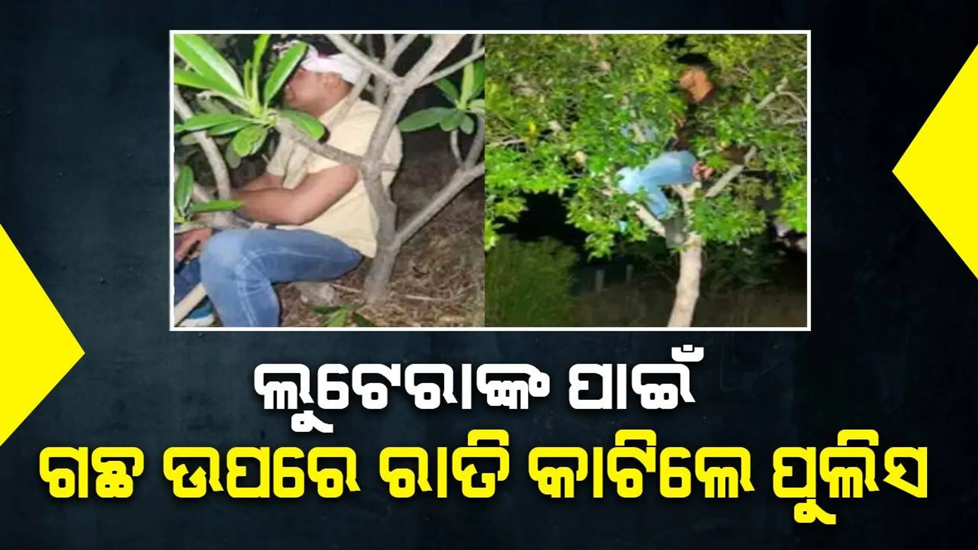 କର୍ତ୍ତବ୍ୟ ପାଳନ ପାଇଁ ଭୋକଶୋଷ ଭୁଲି ରାତି ସାରା ଗଛ ଉପରେ ବସି ରହୁଛନ୍ତି ପୁଲିସ କର୍ମଚାରୀ