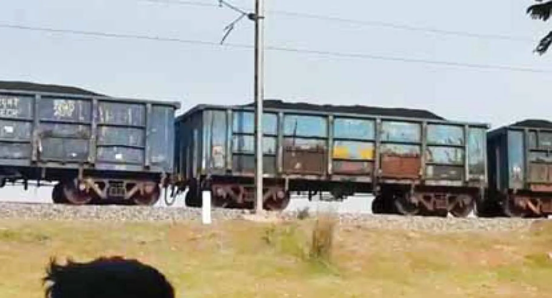 ୩ ବଗି ଛାଡ଼ି ପଳାଇଲା ମାଲ୍‌ଗାଡ଼ି