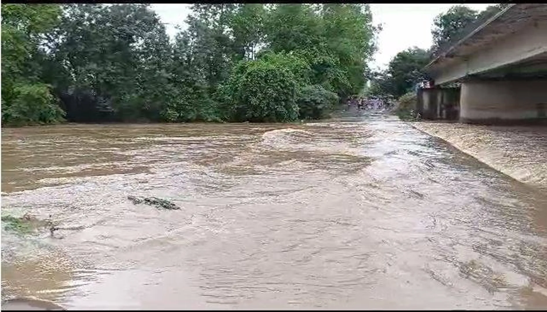ମାଲକାନଗିରିରେ ବନ୍ୟା: ପୋଟେରୁ ପୋଲ ଉପରେ ବନ୍ୟା ଜଳ ପ୍ରବାହିତ, ଆନ୍ଧ୍ର-ତେଲେଙ୍ଗାନାକୁ ଯୋଗାଯୋଗ ବିଚ୍ଛିନ୍ନ
