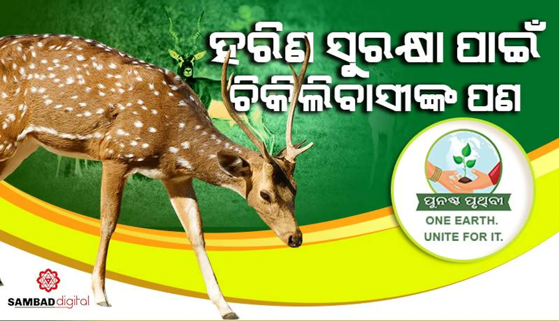 ହରିଣ ସୁରକ୍ଷା ପାଇଁ ଚିକିଲିବାସୀଙ୍କ ପଣ