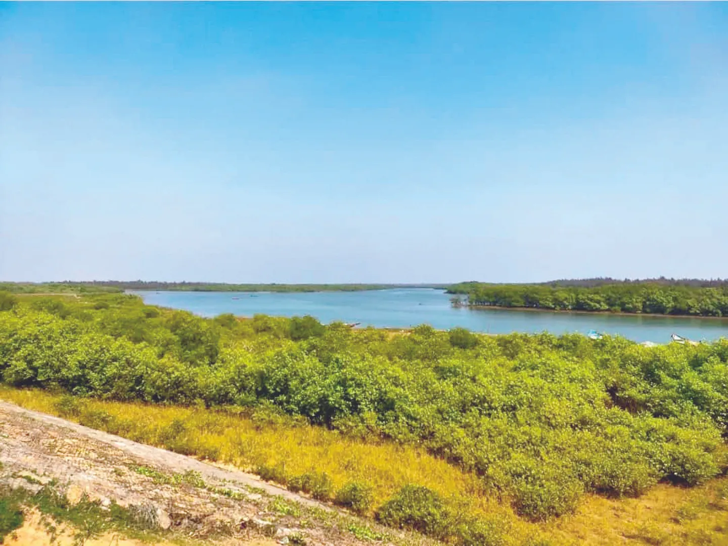 ମା’ ବନ୍ଦରେଇ ପୀଠକୁ ଭୁଲିଗଲେ, ପର୍ଯ୍ୟଟନସ୍ଥଳୀ ମାନ୍ୟତା ଦିଆ ନଗଲେ ଆନ୍ଦୋଳନ ଚେତାବନୀ