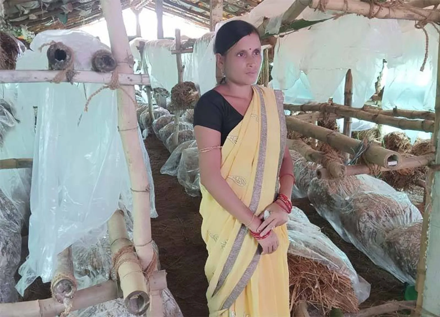 ଛତୁଚାଷରୁ ମାସିକ ୩୦ ହଜାର ରୋଜଗାର କରୁଛନ୍ତି ଅରୁଣା