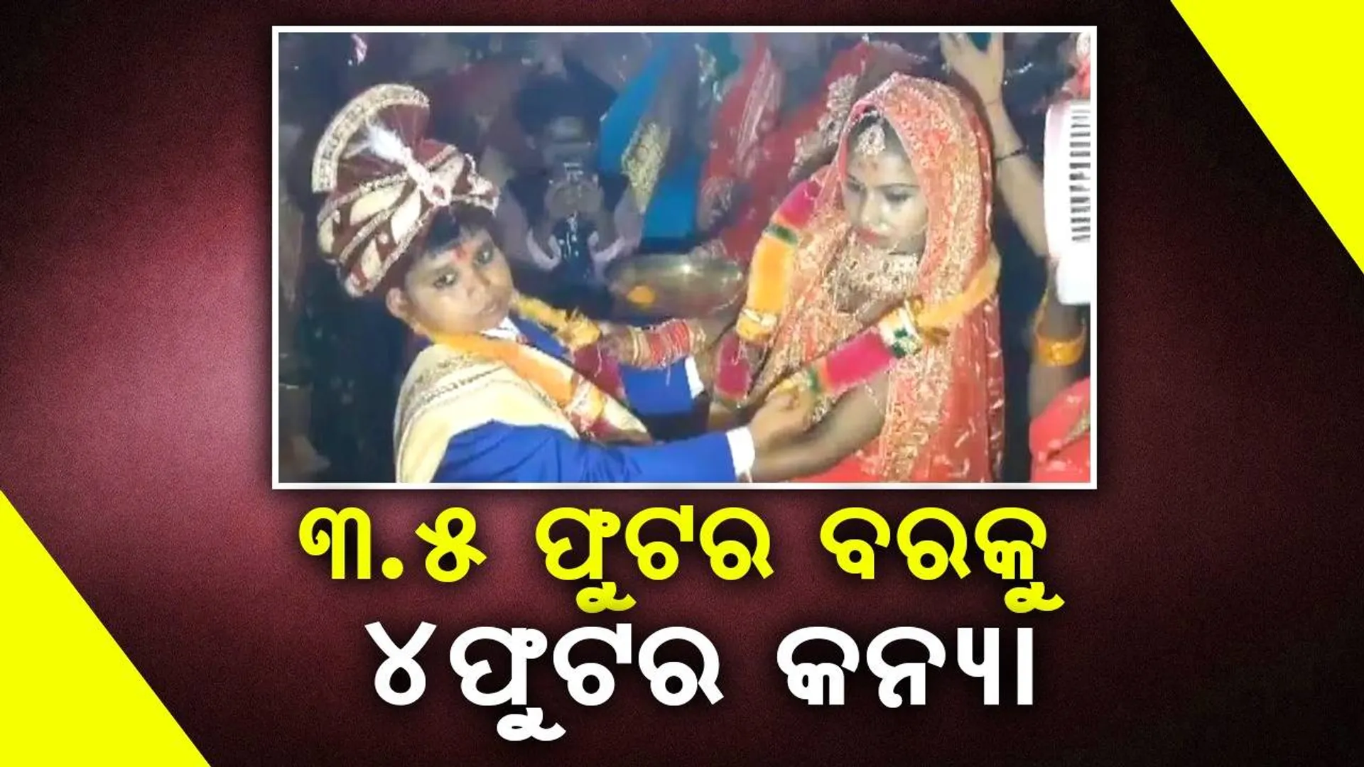 ରବନେ ବନାଦି ଯୋଡ଼ି ! ରୋହିତ ଓ ନେହାଙ୍କ ବିବାହ ପରେ ଶୁଣିବାକୁ ମିଳିଲା ଏମିତି କଥା...