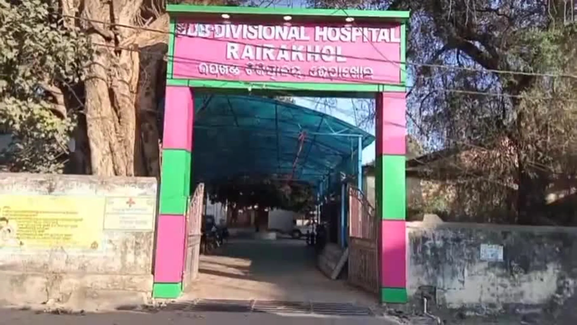 ସାପ କାମୁଡ଼ାରେ ବୃଦ୍ଧା ମୃତ