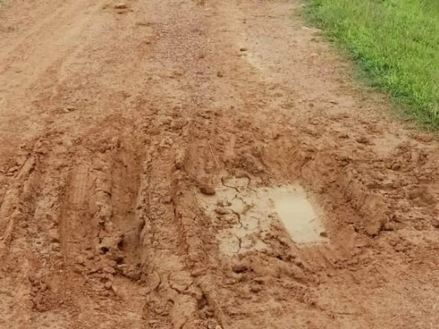 ରାସ୍ତା ନିର୍ମାଣ ହେଉନଥିବାରୁ କାମରେ ଲାଗୁନି ଝୁଲାପୋଲ