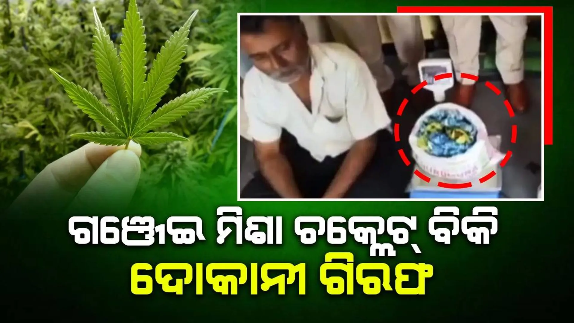 ଗିରଫ ହେଲେ ପିଲାଙ୍କୁ ଗଞ୍ଜେଇ ମିଶା ଚକ୍‌ଲେଟ୍‌ ଖିଆ ଅଭ୍ୟାସ କରାଇଥିବା ଦୋକାନୀ