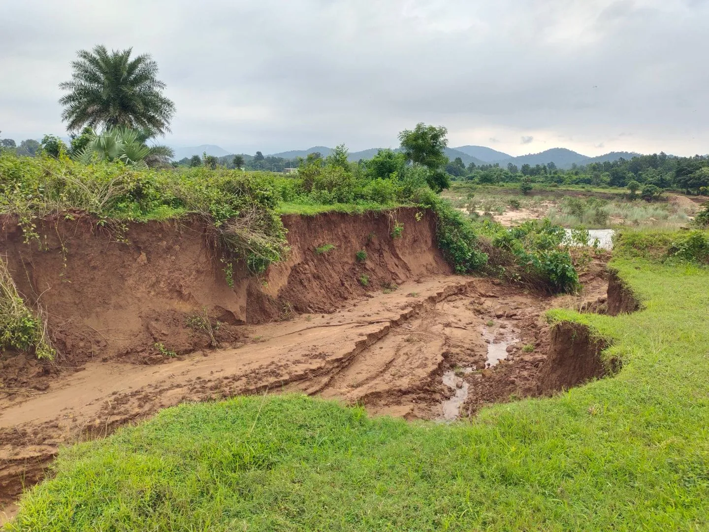 ସମାକୋଇରେ ଲୀନ ହେବ ତଳସାହି: କାଳ ହେଉଛି ବେଆଇନ ବାଲି ଉତ୍ତୋଳନ