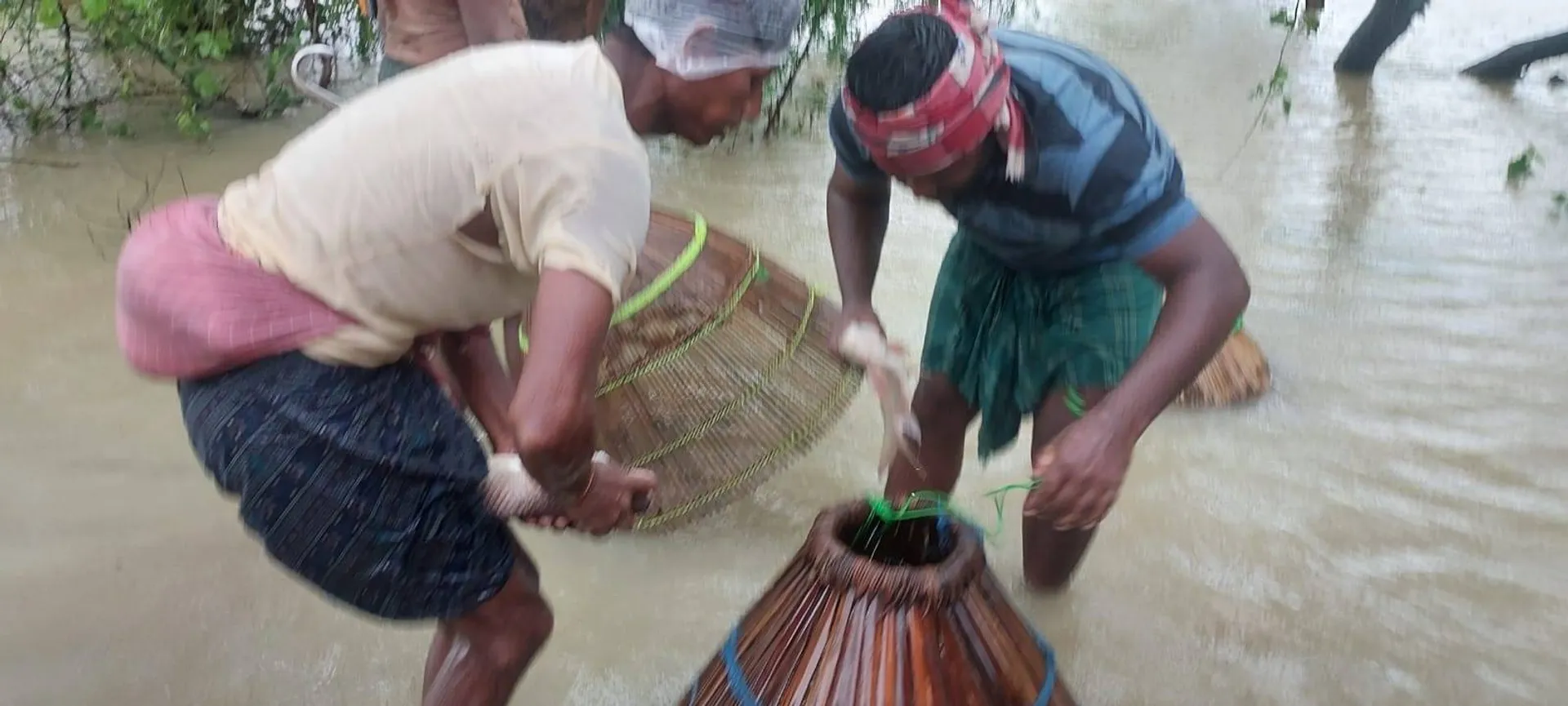 ମତ୍ସ୍ୟ ବିଭାଗର ଭାସିଗଲା ଯାଆଁଳ: ରାସ୍ତାରେ ମାଛ ଧରିଲେ ଲୋକେ