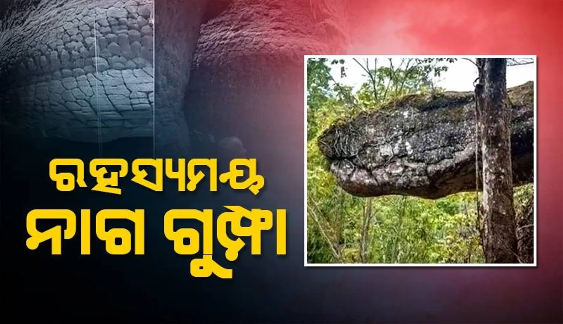 ଚର୍ଚ୍ଚାରେ ବିଶାଳ ସାପ ଆକୃତିର ଗୁମ୍ଫା