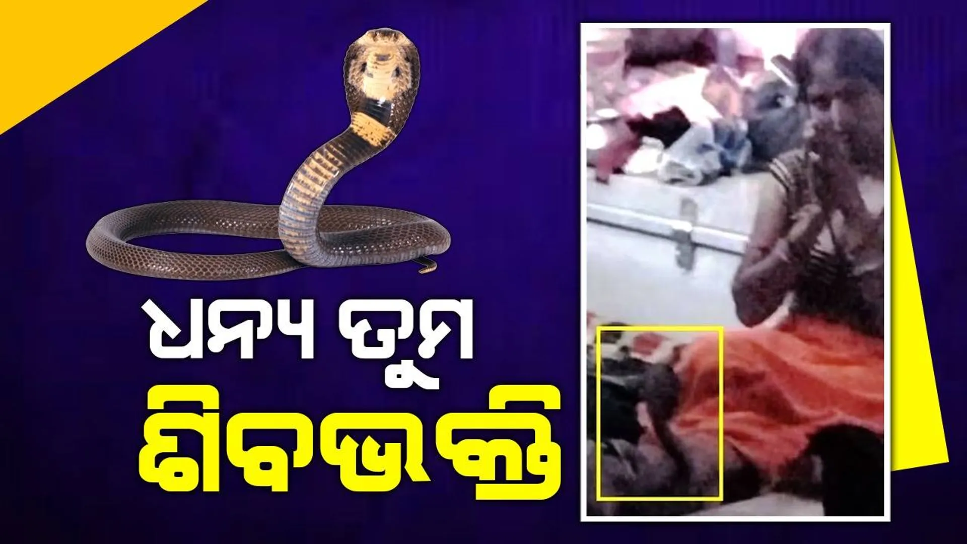 ଶିବଙ୍କ ପୂଜା କରୁଥିବା ବେଳେ ଠାକୁର ଘରକୁ ପଶି ଆସିଲା ନାଗସାପ, ମହିଳାଙ୍କ ଗୋଡ଼ରେ ୩ଘଣ୍ଟା ଗୁଡ଼ାଇ ହୋଇ ରହିଥିଲା