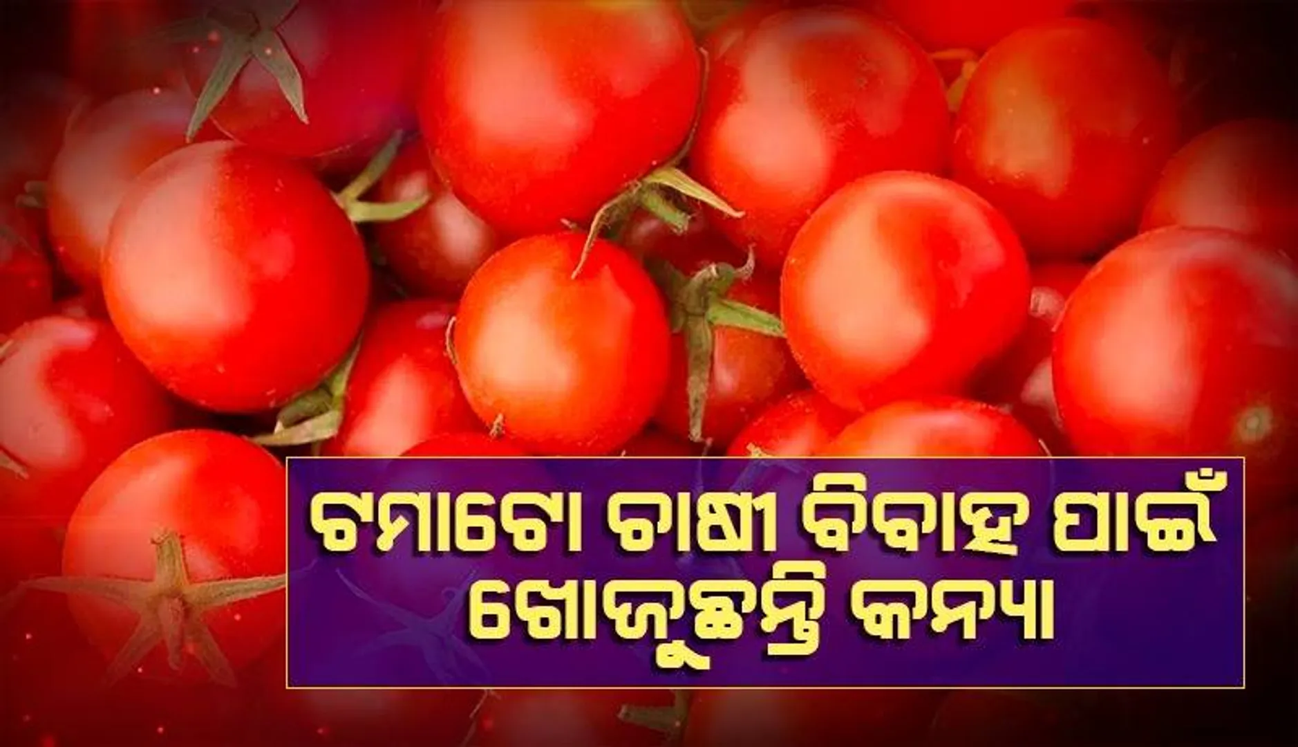ଟମାଟୋ ବିକ୍ରି କରି ଲକ୍ଷାଧିକ ଟଙ୍କା ରୋଜଗାର କରିଥିବା ଚାଷୀ ଦାମୀ କାର କିଣିବା ପ‌ରେ ବିବାହ ପାଇଁ ଖୋଜୁଛନ୍ତି କନ୍ୟା