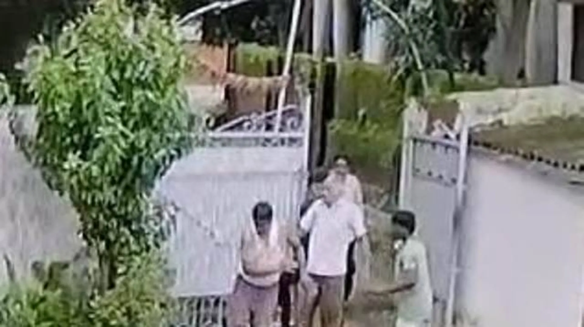 ବୃଦ୍ଧ ଦମ୍ପତିଙ୍କୁ ଆକ୍ରମଣ, ଭିଡିଓ ଭାଇରାଲ୍