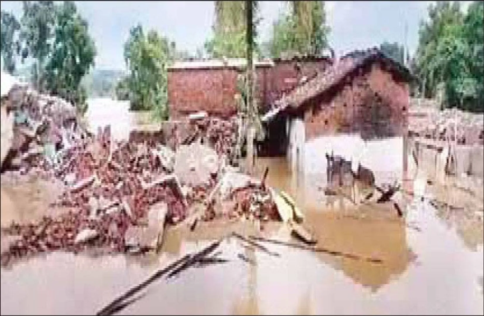 ନିମ୍ନ ସୁକତେଲ ପାଣି ଘେରରେ ୯ ପରିବାର: କ୍ଷତିପୂରଣ ନପାଇଲେ ଜୀବନ ଦେବୁ, ଉଦ୍ଧାର ପାଇଁ ଉଦ୍ୟମ ନାହିଁ