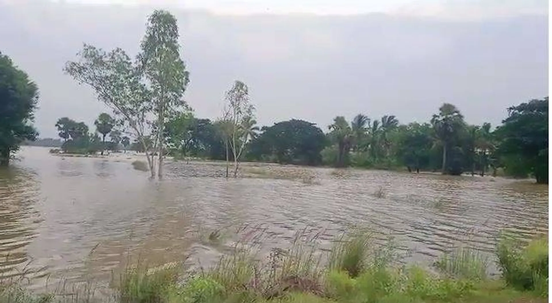 ବନ୍ୟା ବିତ୍ପାତ: ନିରାକାରପୁରରେ ୮ଶହ ହେକ୍ଟର ଚାଷଜମି ଜଳମଗ୍ନ, ଗାଁରେ ପଶିଲା ପାଣି