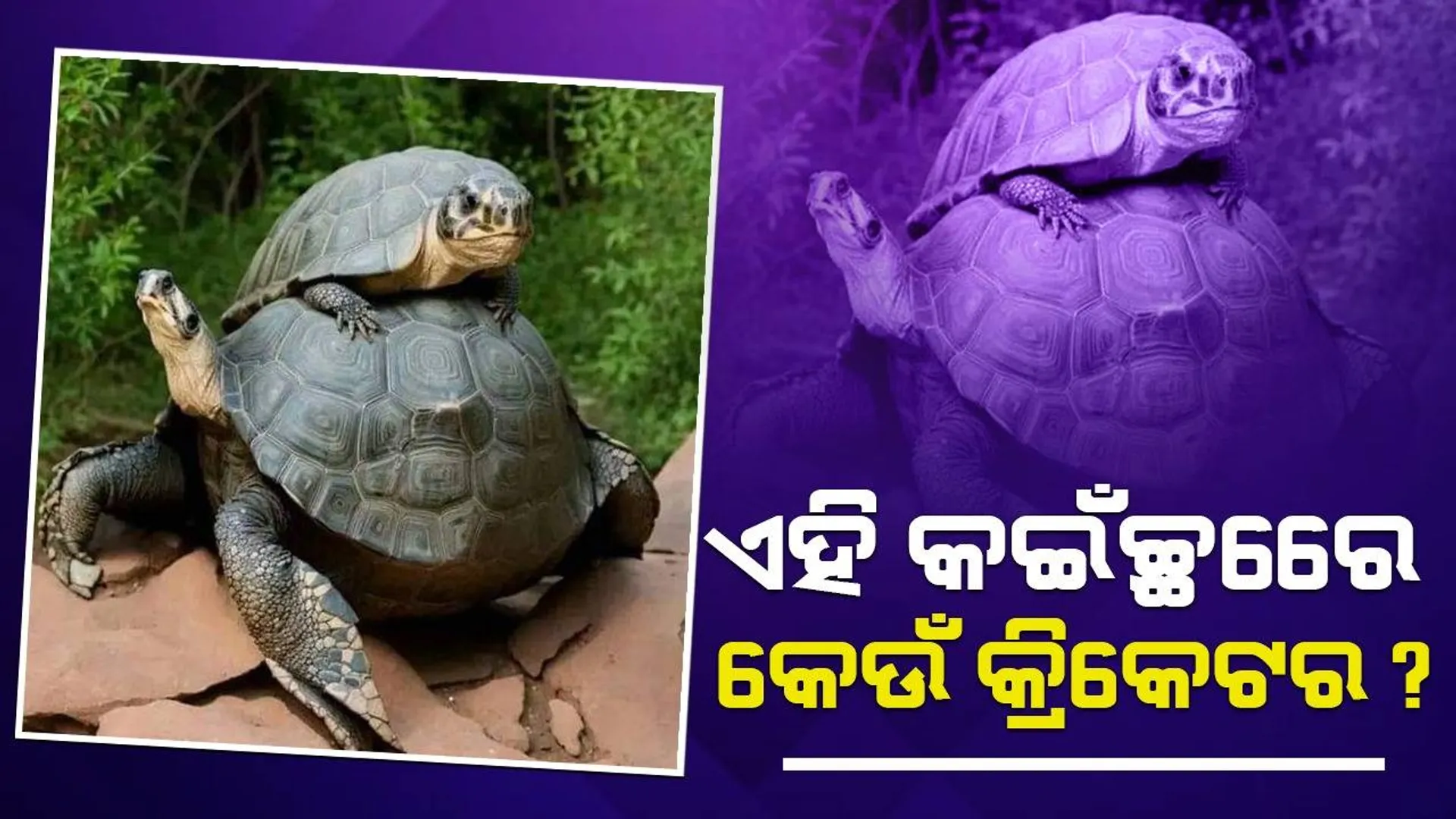 ଆଧା ଖୋଲା ଆଖିରେ ଦେଖିଲେ ଏହି ଫଟୋରେ ଜଣେ ସେଲିବ୍ରିଟି ଦି‌ଶୁଛନ୍ତି, କହିପାରିବେ କି ସେ କିଏ?