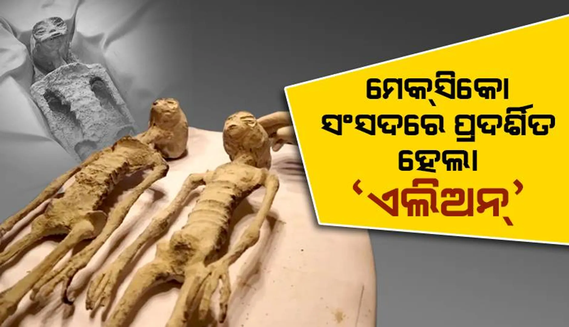 ମେକ୍‌ସିକୋ ସଂସଦରେ ପ୍ରଦର୍ଶିତ ‘ଏଲିଅନ୍‌’ଙ୍କ ଦେହାବଶେଷ ଉପରେ ସ‌ନ୍ଦେହ ପ୍ରକାଶ କଲେ ବୈଜ୍ଞାନିକ