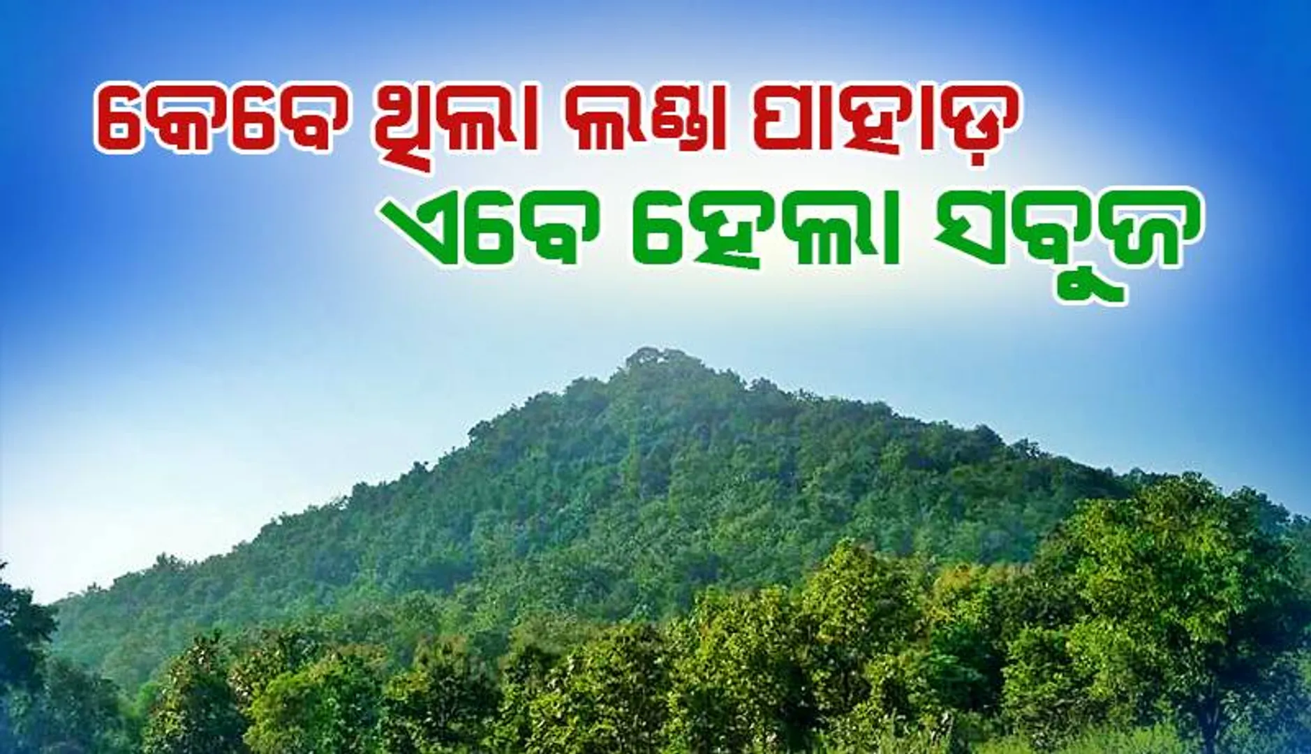 ପ୍ରେରଣାର ନାଁ ସାଗରପାଲି ଗାଁ: କେବେ ଥିଲା ଲଣ୍ଡା ପାହାଡ଼, ଏବେ ହେଲା ସବୁଜ
