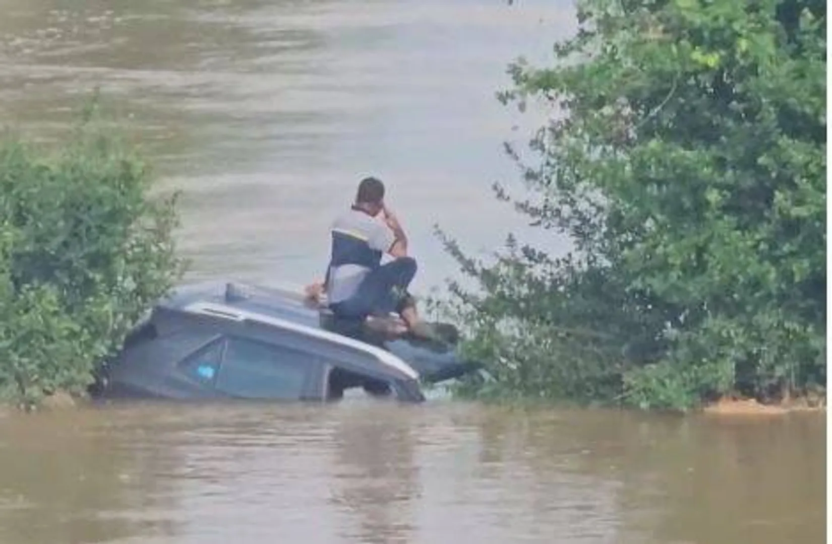 ଗଳି ପୋଲରେ ଭାସିଗଲା କାର, ଗଛରେ ଚଢ଼ିଛନ୍ତି କାର ଚାଳକ