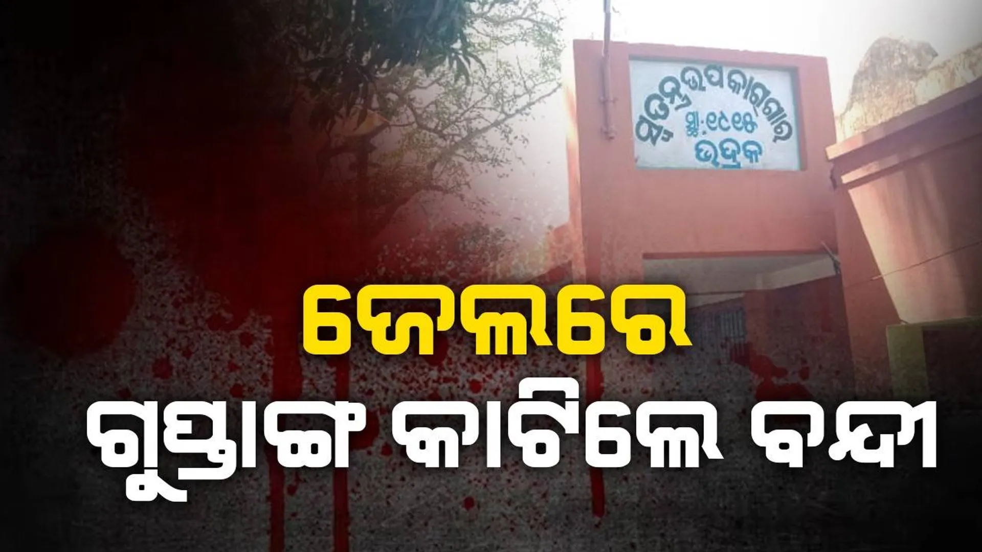 ମାନସିକ ଭାରସାମ୍ୟ ହରାଇ ବ୍ଲେଡରେ ନିଜର ଗୁପ୍ତାଙ୍ଗ କାଟିଲା ବିଚାରାଧୀନ ବନ୍ଦୀ