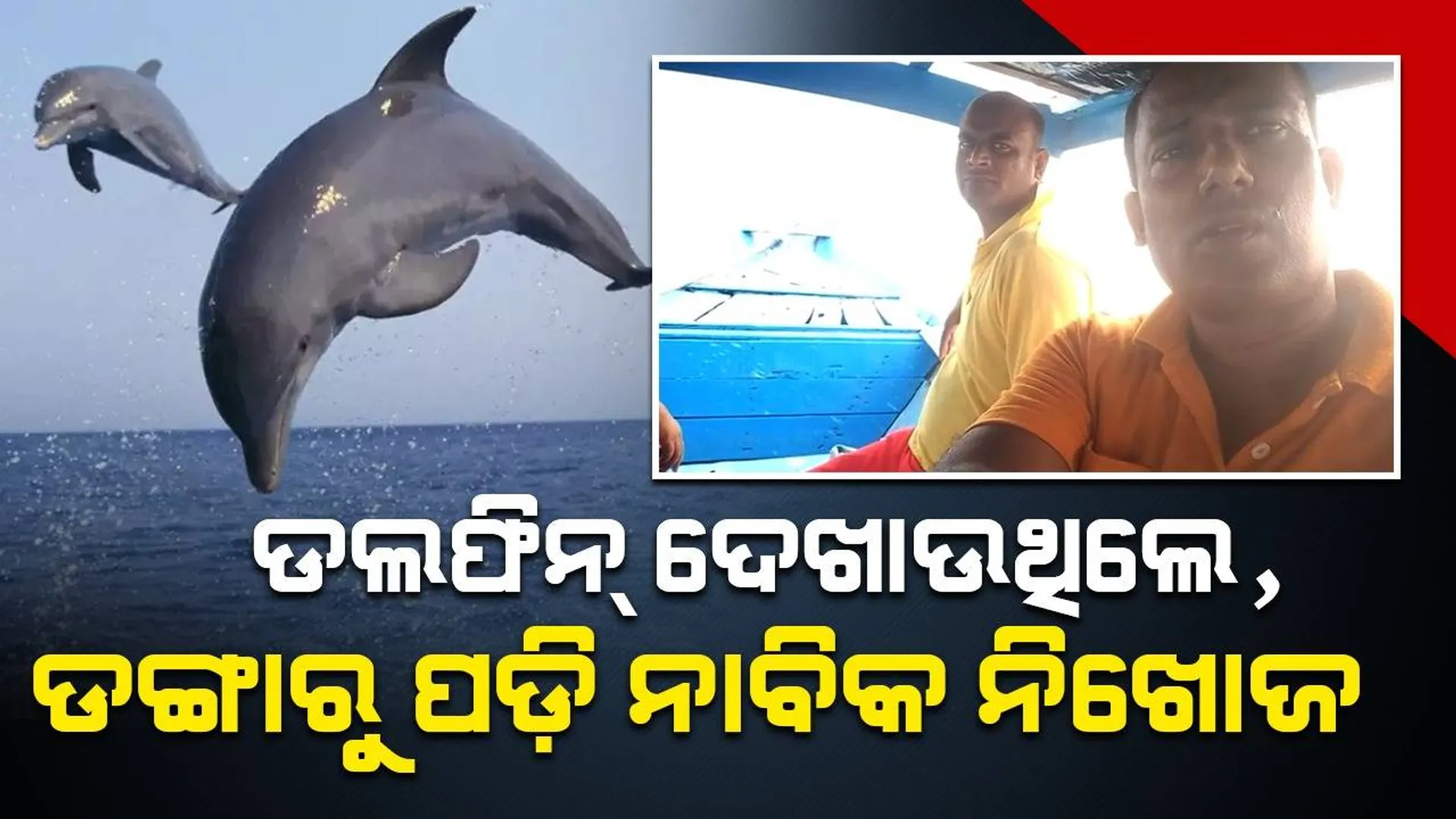 ଚିଲିକାରେ ପର୍ଯ୍ୟଟକଙ୍କୁ ଡଲଫିନ୍‌ ଦେଖାଉଥିଲେ, ଯାତ୍ରୀବାହୀ ‌ଡଙ୍ଗାରୁ ଖସିପଡ଼ିଲେ ନାବିକ