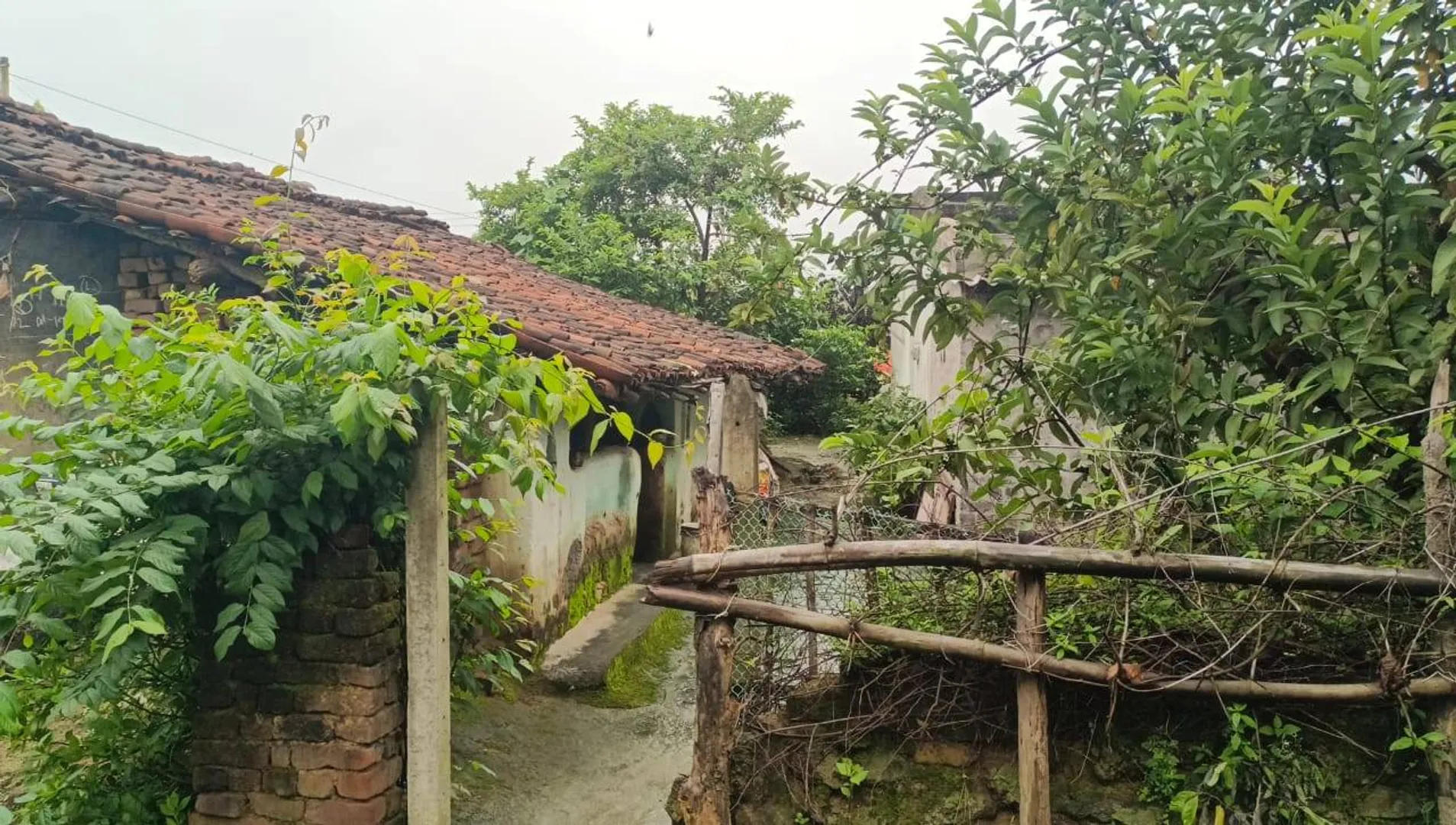 ବନ୍ଦ ଘରୁ ମହିଳାଙ୍କ ରକ୍ତାକ୍ତ ଶବ ଉଦ୍ଧାର: ସ୍ୱାମୀ ଫେରାର, ହତ୍ୟା ସନ୍ଦେହ