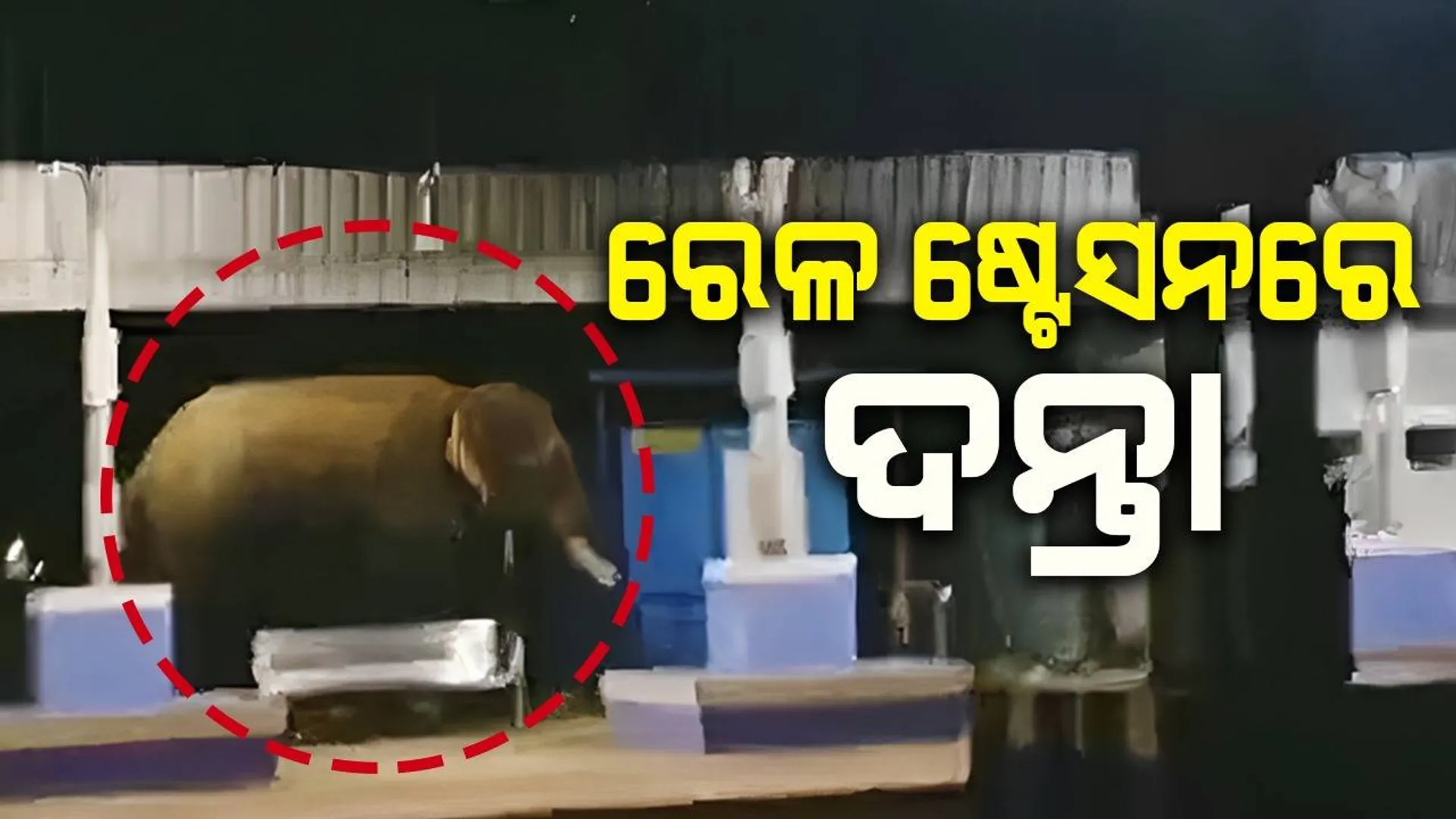 ୪ ଘଣ୍ଟା ଧରି ରେଳ ଷ୍ଟେସନରେ ରହିବା ପରେ ଜଙ୍ଗଲକୁ ଗଲା ଦନ୍ତା