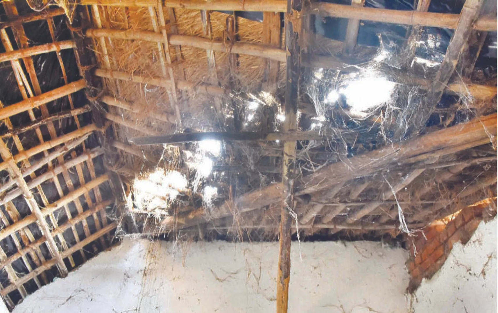 ଉତ୍କଳମଣି ଗୋପବନ୍ଧୁ ଜୟନ୍ତୀ: ଅବହେଳିତ କର୍ମକ୍ଷେତ୍ର