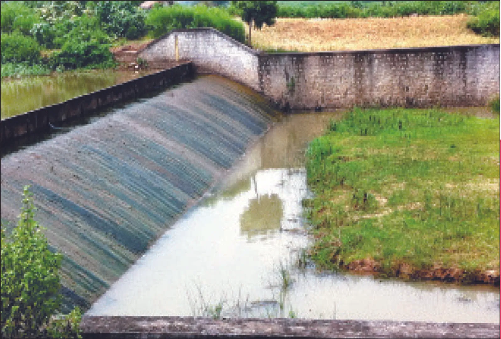ମୁଣ୍ଡରେ ହାତ ଦେଲେଣି ଚାଷୀ: ନିଅଣ୍ଟିଆ ବର୍ଷା ବେଳେ ଶୁଖିଲା ପଡ଼ିଛି ବାହୁଦା ଜଳସେଚନ ପ୍ରକଳ୍ପ