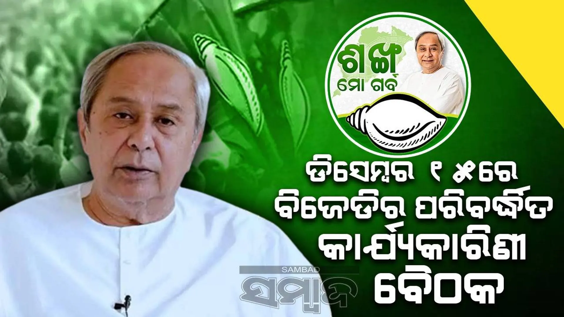 ବିଜେଡିର ପ୍ରତିଷ୍ଠା ଦିବସ ପ୍ରସ୍ତୁତି: ଆସନ୍ତାକାଲି ଗୁରୁତ୍ବପୂର୍ଣ୍ଣ କାର୍ଯ୍ୟକାରିଣୀ ବୈଠକ