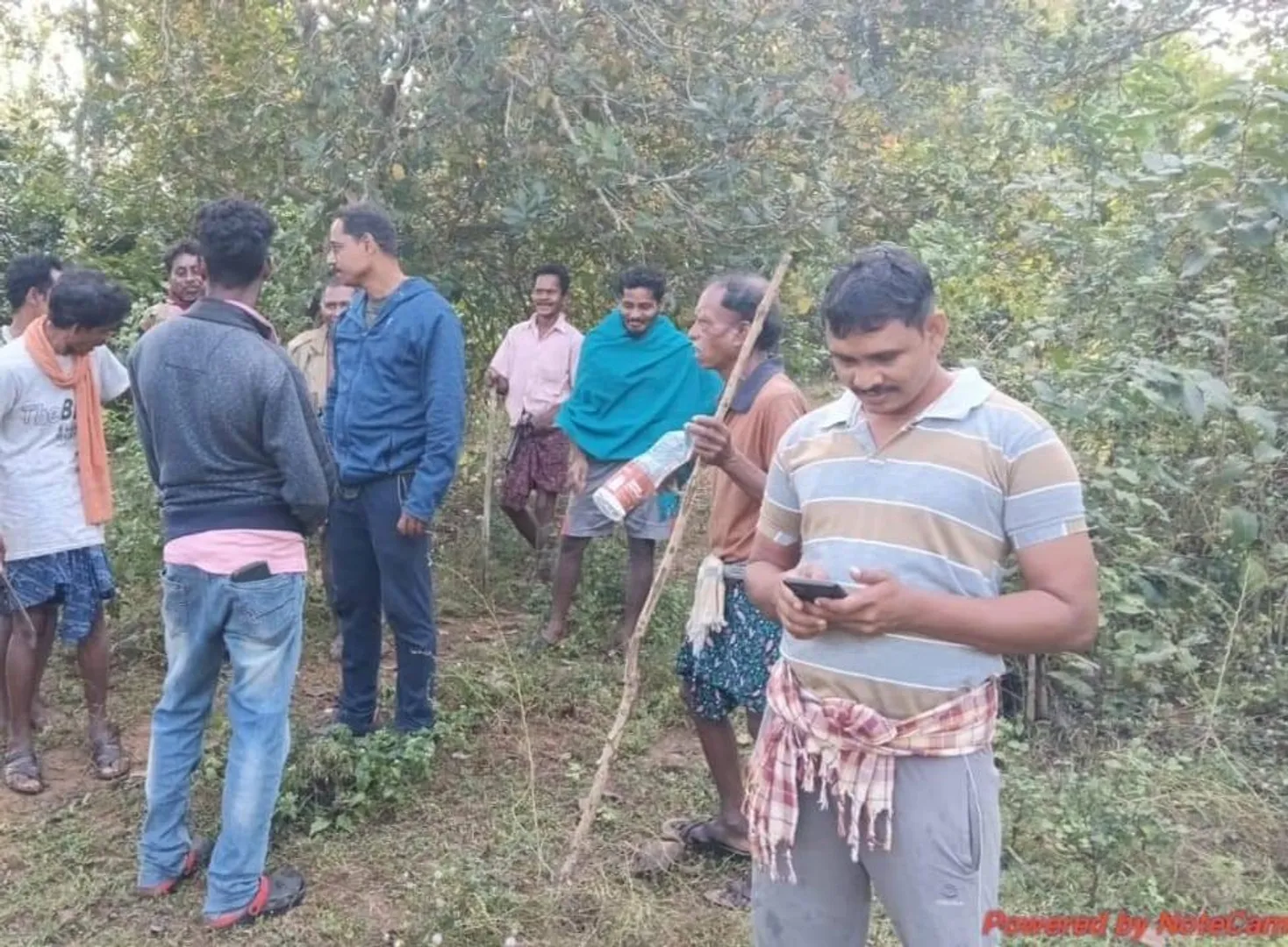 ରାୟଗଡ଼ାରେ ବୁଲୁଛି ବାଘ; ଟେର ପାଉନି ବନ ବିଭାଗ, ଲୋକେ ଆତଙ୍କିତ