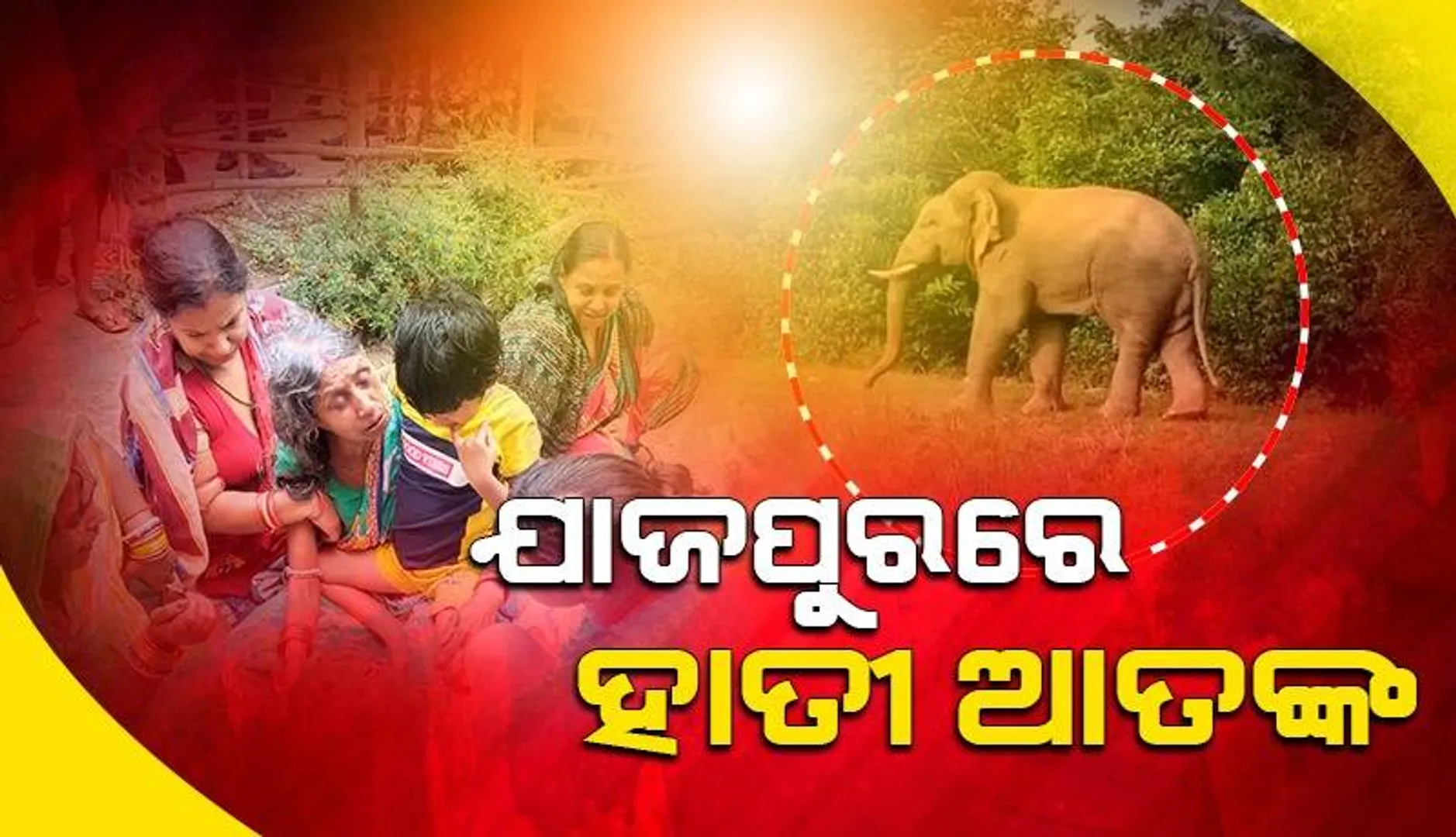 ଶୌଚ ପାଇଁ ଯିବା ବେଳେ ବୃଦ୍ଧଙ୍କୁ ଦଳିଦେଲା ହାତୀ, ଦୁଇ ଦିନରେ ନେଲାଣି ଦୁଇଟି ଜୀବନ