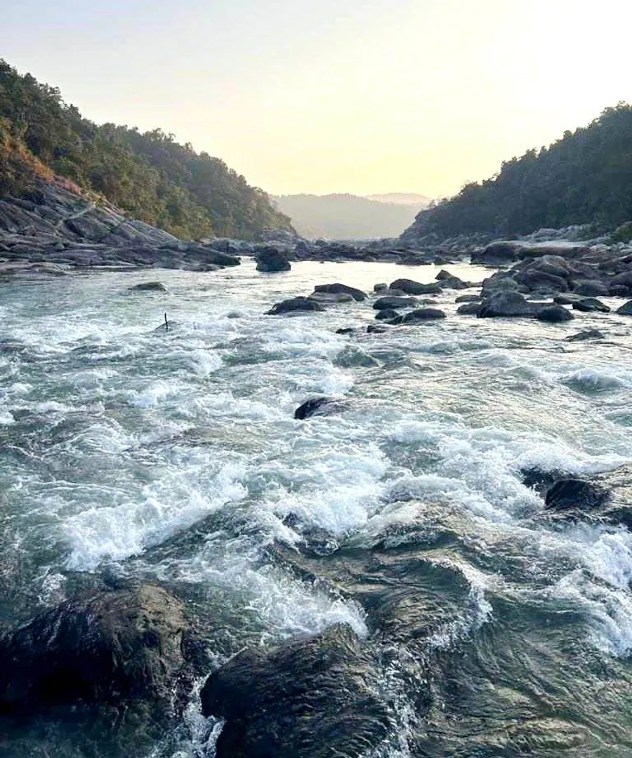 ସୁନାମୁନି ଜଙ୍ଗଲ ବିଚ୍‌କୁ ଖୋଲିଲା ରାସ୍ତା, ଜମୁଛି ପର୍ଯ୍ୟଟକଙ୍କ ଭିଡ଼