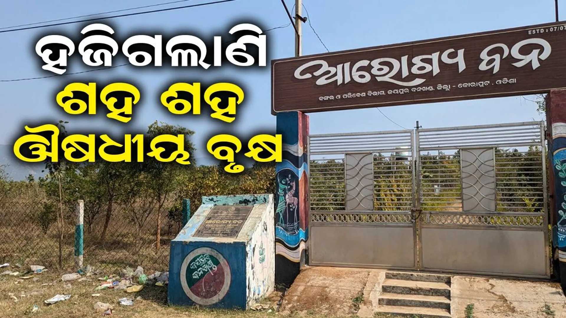 କୋମାରେ ଆରୋଗ୍ୟବନ: ହଜିଗଲାଣି ଶହ ଶହ ଔଷଧୀୟ ବୃକ୍ଷ