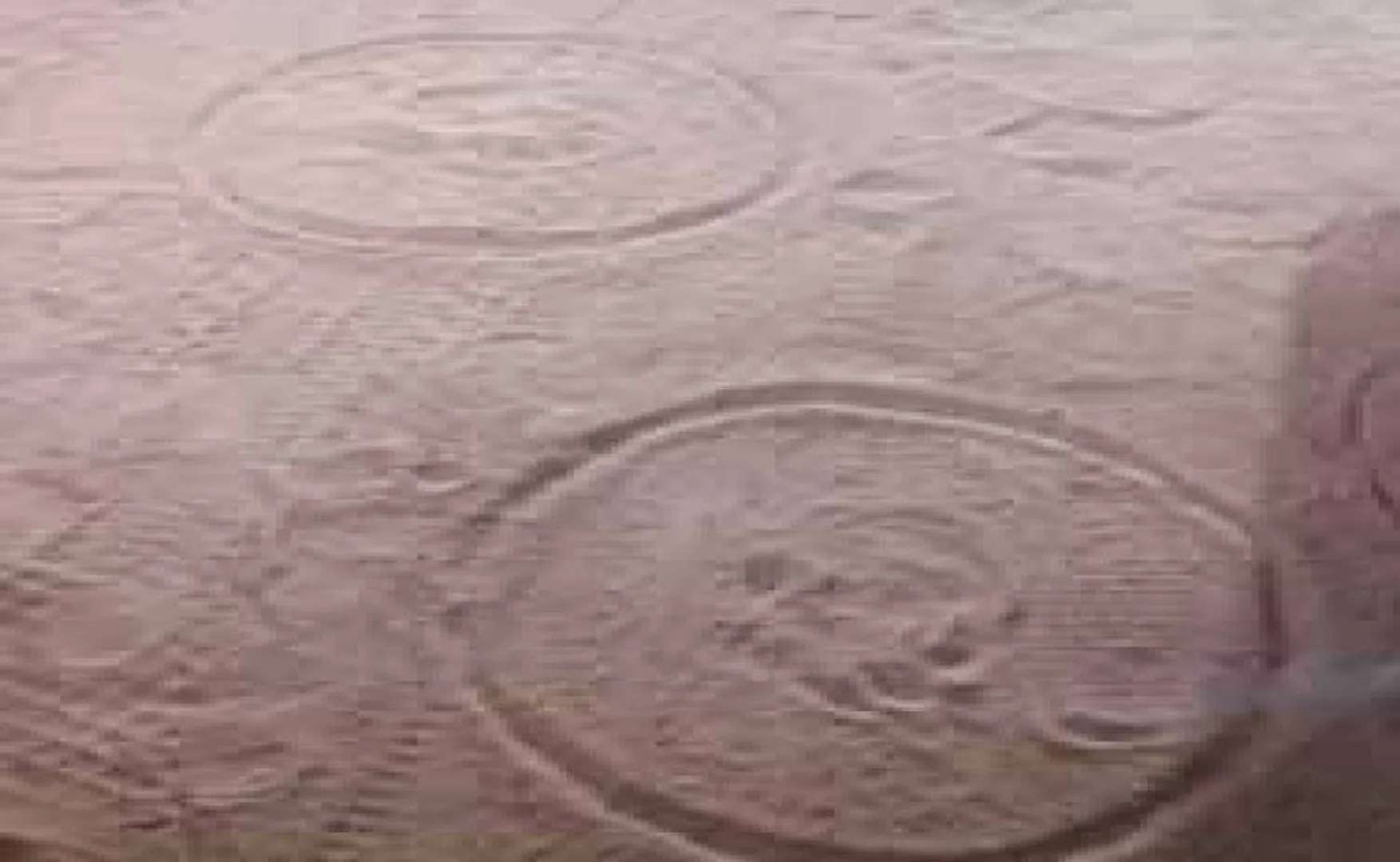 ଲଖନପୁରରେ କଲରାପତରିଆ ଆତଙ୍କ