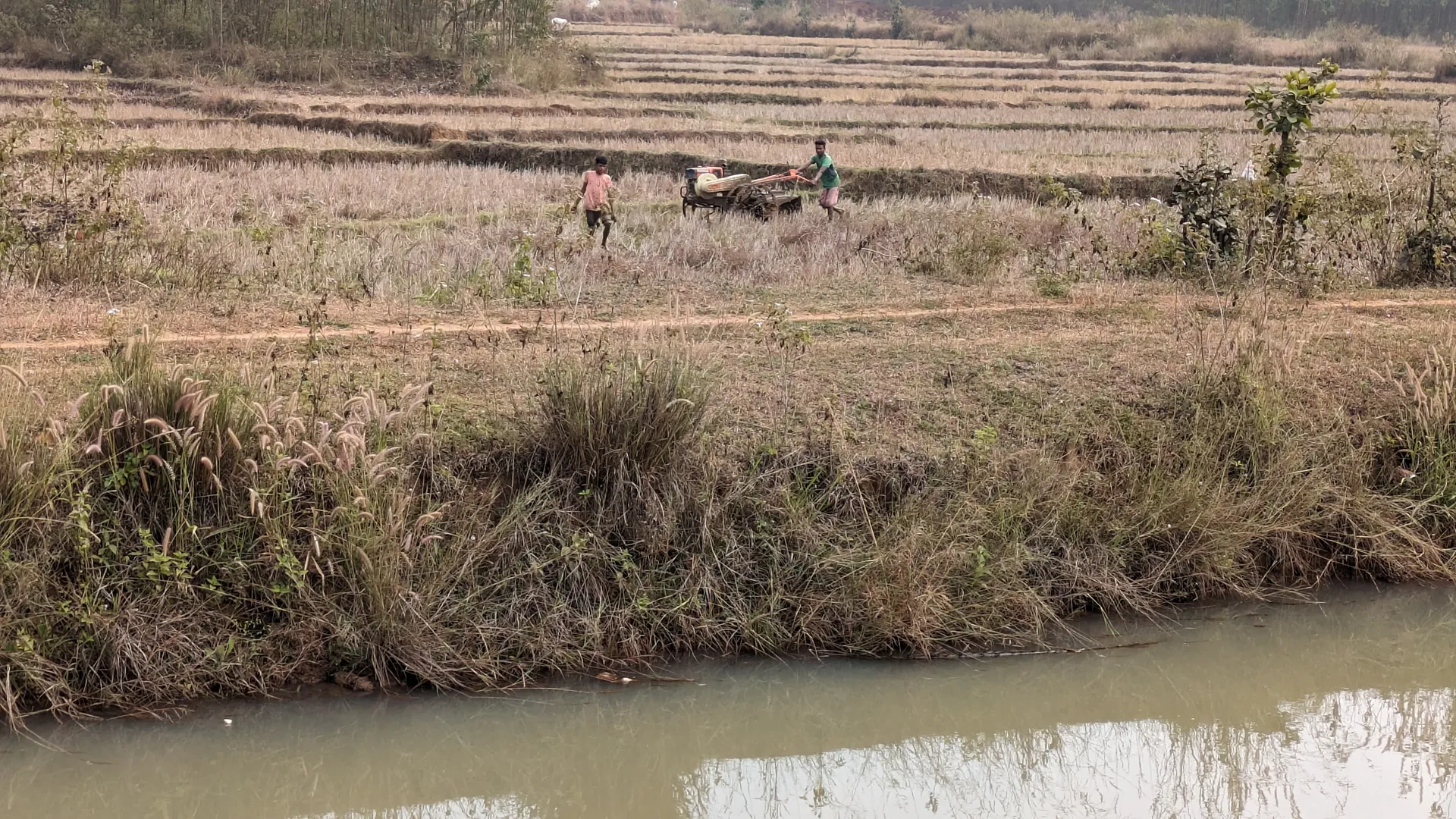 କୋରାପୁଟ ଜିଲ୍ଲାରେ ୮୭ହଜାର ୨୮୦ହେକ୍ଟର ଜମିରେ ହେବ ରବି ଚାଷ