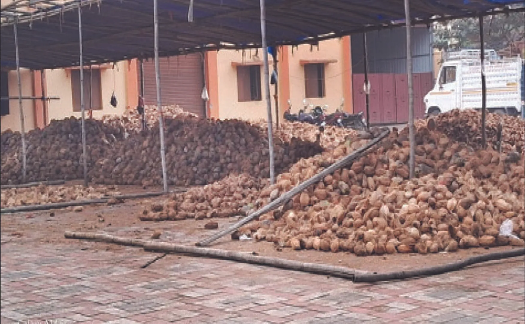 କୋଟିଏ ନଡ଼ିଆକୁ ନାହିଁ ଗୋଟିଏ ଶିଳ୍ପ: ହାତକୁ କାମ ଦେବା ଲାଗି କୁନ୍ଥକୁନ୍ଥ