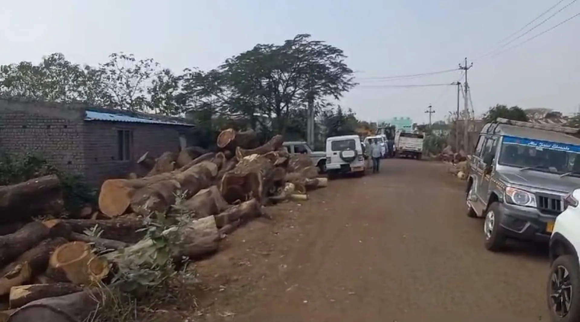 କରତକଳ ଉପରେ ଚଢାଉ, ବିପୁଳ କାଠ ଜବତ