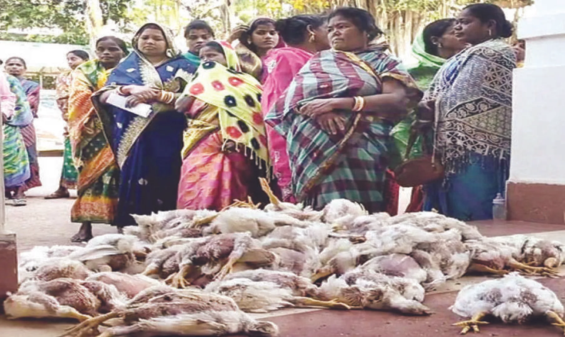 ପ୍ରାଣୀ ଚିକିତ୍ସକଙ୍କ ଆନ୍ଦୋଳନ ୨୩ଦିନରେ: ୩ ଜିଲ୍ଲାପାଳଙ୍କ କାର୍ଯ୍ୟାଳୟ ଆଗରେ ପ୍ରତିବାଦ