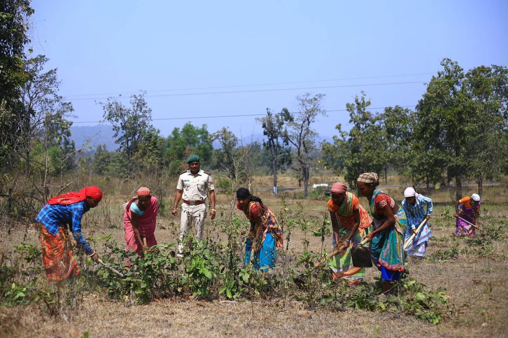 ଜୟପୁର କେନ୍ଦୁପତ୍ର ବନଖଣ୍ଡର ୫୬,୯୮୩ ଜଣ କେନ୍ଦୁପତ୍ର ତୋଳାଳୀଙ୍କୁ ବୋନସ୍ ଓ ୧୨୦୮ସାମୟିକ କର୍ମଚାରୀଙ୍କୁ ମିଳିବ ପ୍ରୋତ୍ସାହନ ରାଶି
