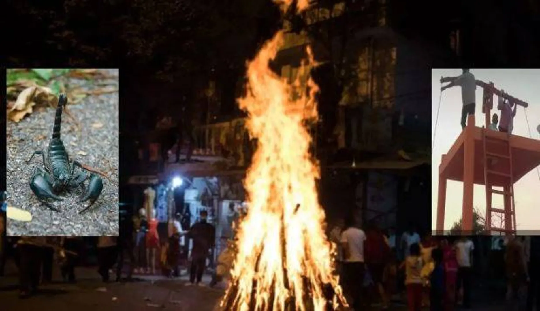 ବିପଜ୍ଜନକ ପରମ୍ପରା : କେଉଁଠି ନିଆଁ ତ ଅନ୍ୟ କେଉଁଠି ବିଛା ସହିତ ଖେଳାଯାଏ ହୋଲି