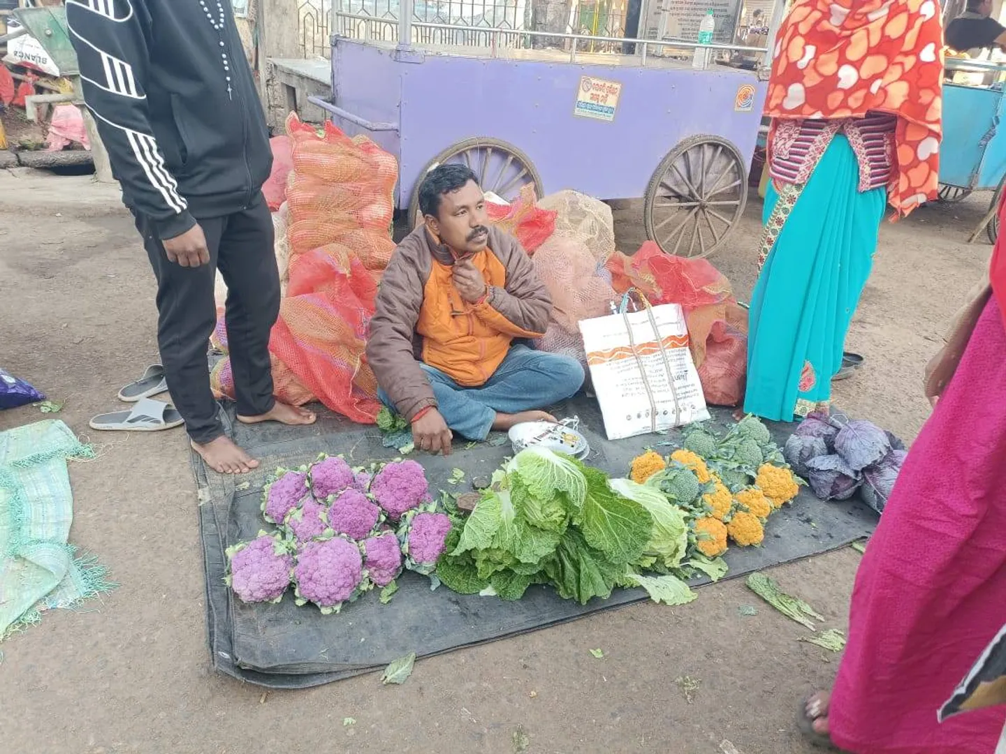 ଆୟ ବୃଦ୍ଧି ପାଇଁ ଚାଷୀଙ୍କ ଭିନ୍ନ ପ୍ରୟାସ: ଘୁମୁସର ଉଦୟଗିରି ବଜାରରେ ରଙ୍ଗବେରଙ୍ଗର ଫୁଲ-ବନ୍ଧା କୋବିର ପସରା