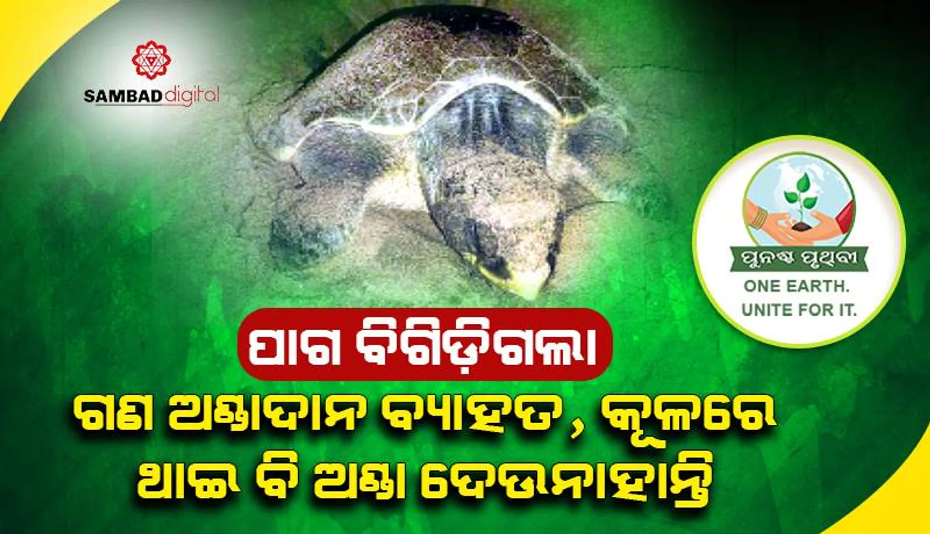 ପାଗ ବିଗିଡ଼ିଗଲା: ଗଣ ଅଣ୍ତାଦାନ ବ୍ୟାହତ, କୂଳରେ ଥାଇ ବି ଅଣ୍ତା ଦେଉନାହାନ୍ତି