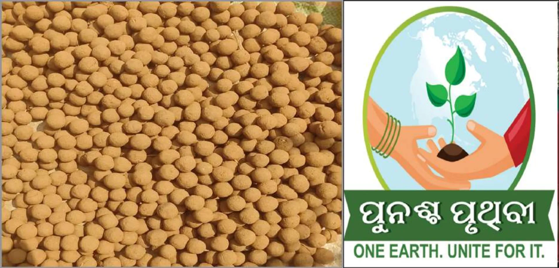 ବଣେଇରେ ହେବ ଶାଳିଆ ବାଉଁଶ ଚାଷ: ପ୍ରଥମଥର ପାଇଁ ବ୍ୟବହାର ହେବ ଡ୍ରୋନ୍‌