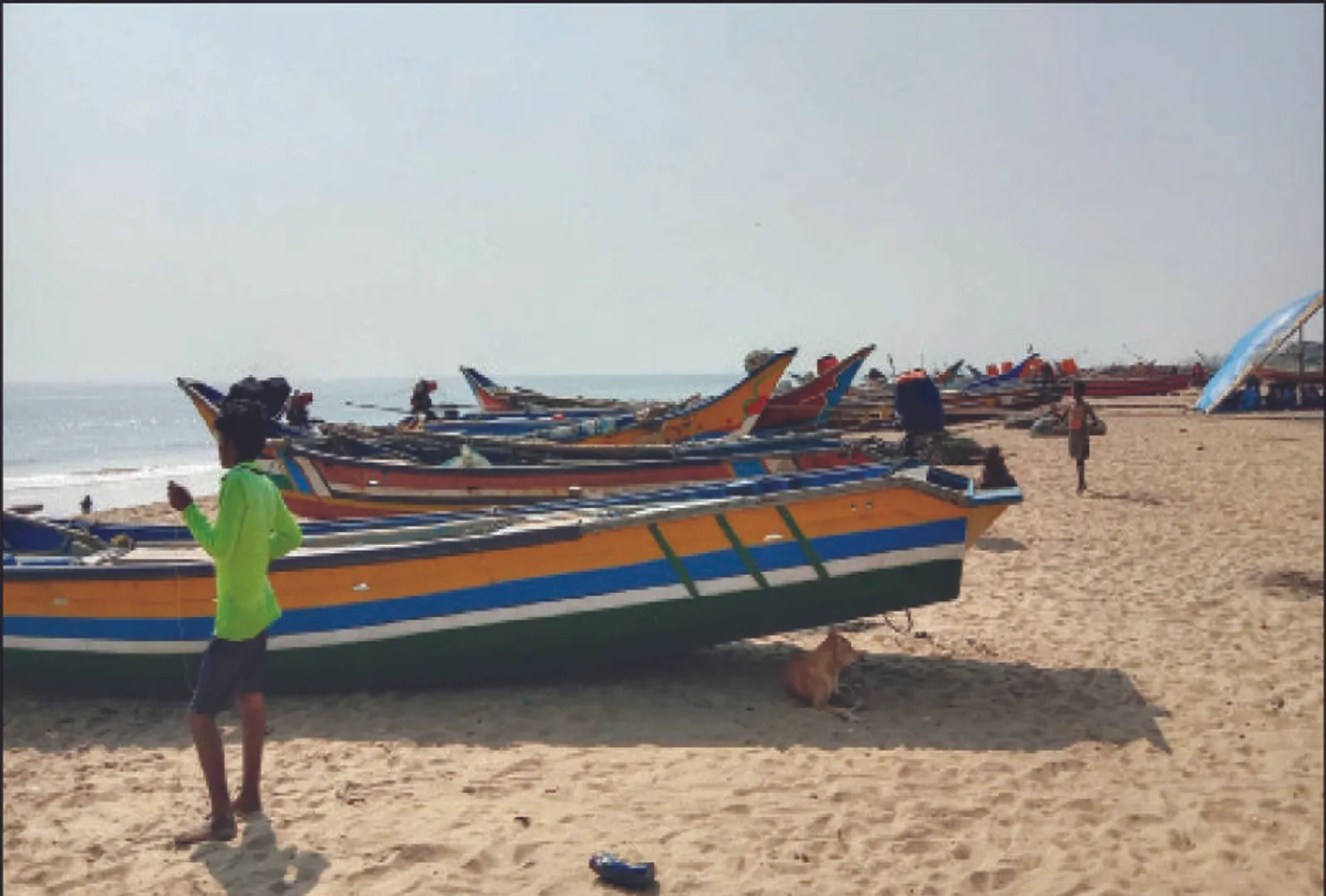 ୩ଟି ସ୍ଥାନରେ ହେବ ‘ମତ୍ସ୍ୟ ଅବତରଣ କେନ୍ଦ୍ର’: ସାପକୋଟି ପାଇଁ ୮କୋଟିର ଟେଣ୍ଡର, ପ୍ଲାନ୍‌ ମଞ୍ଜୁରିକୁ ଅପେକ୍ଷା