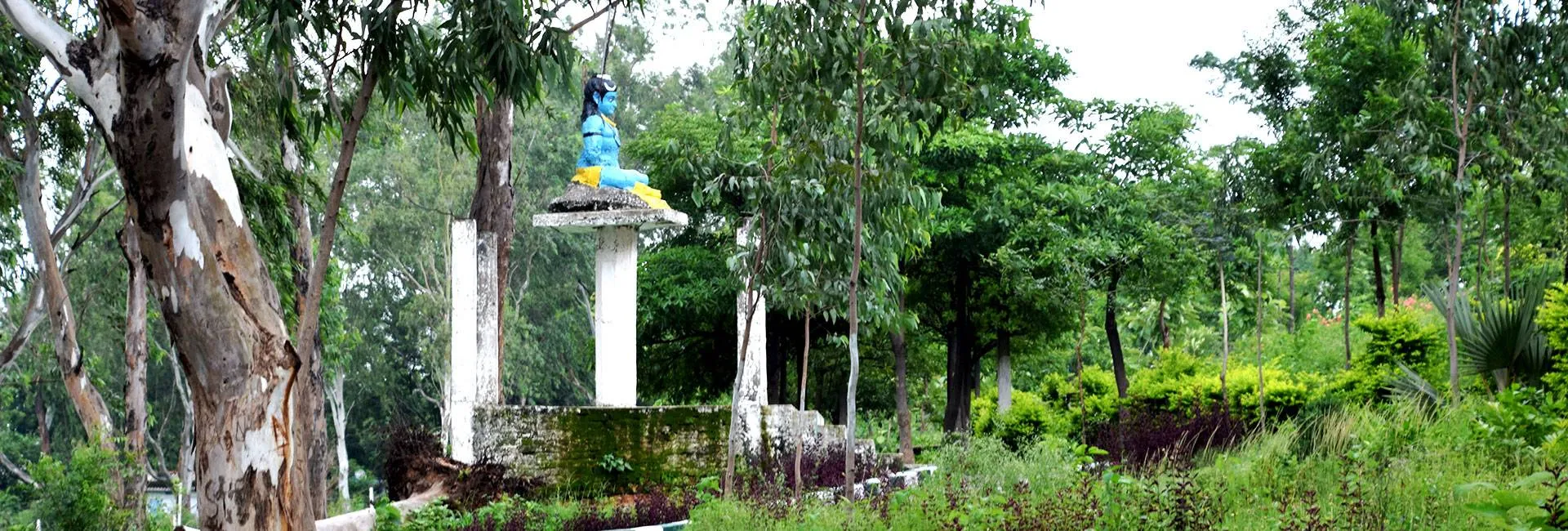 ବୃକ୍ଷରୋପଣରେ ଦୁର୍ନୀତି: ଗଛ ପିଛା ୧୫୦୦ ସ୍ବାହା